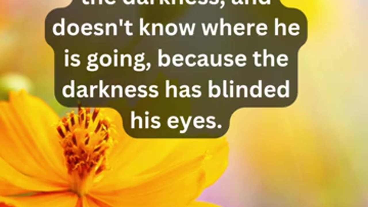 Journey of faith and spiritual growth 1 John 2:11 Daily Bible Verse