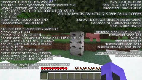 Minecraft