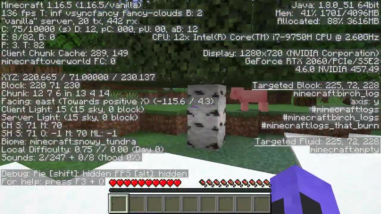 Minecraft