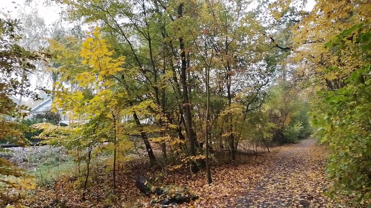 kolorowa podpowiedź :):)