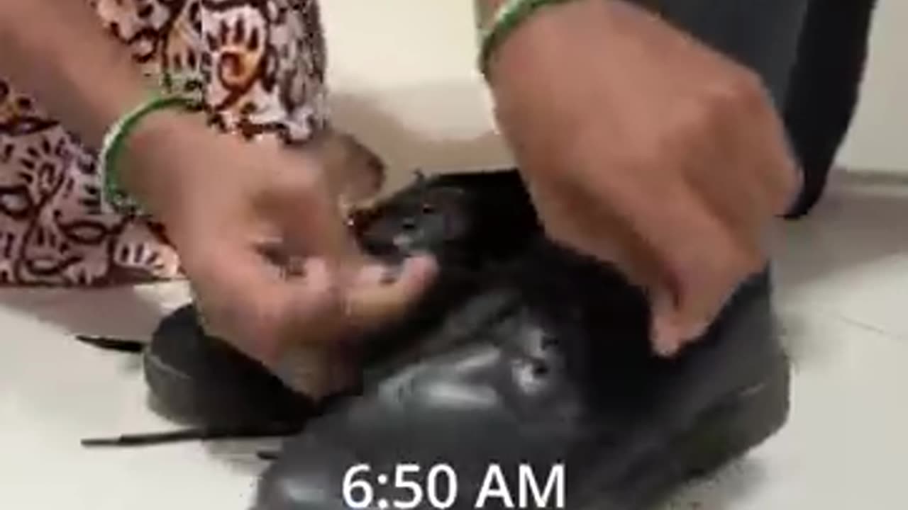 funny video