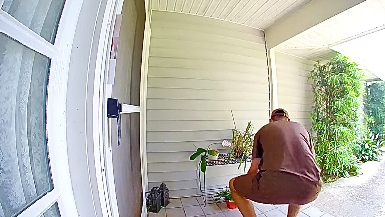 Dog Surprises UPS Worker