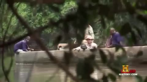 Evidence Of The Mokèlé Mbèmbé Dinosaur (Documentary) (they know it exists)