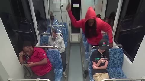 New Video from Sickening Train Murder: Passengers Tried to Help
