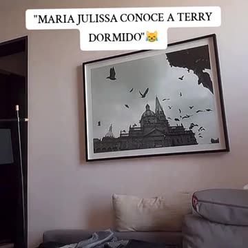 #mrstiventc #fyp #viral #parati