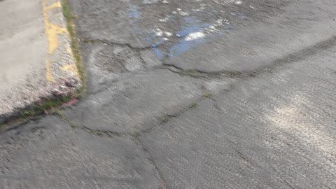 That plaster snow, except during...THE DAY!!!