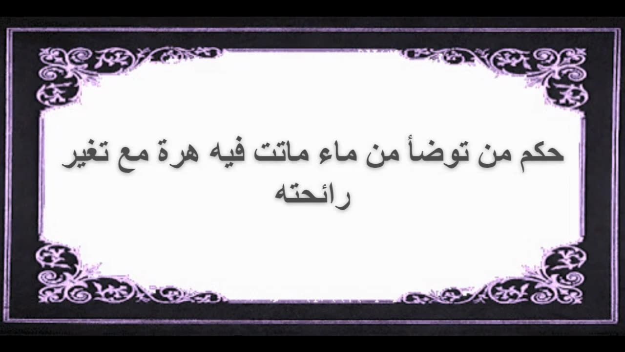 10-حكم من توضأ من ماء ماتت فيه هرة مع تغير رائحته