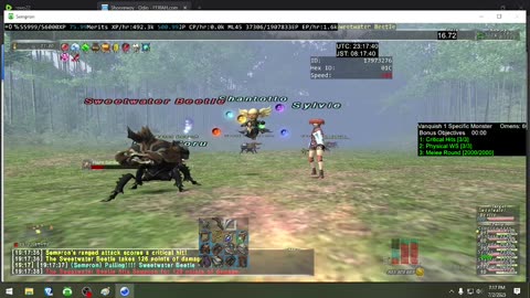 Playing Final Fantasy XI Online