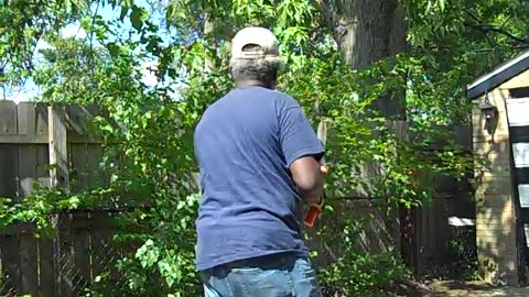 SHEA SHOW IN REVERSE PT 3