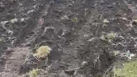 Ukraine war combat/related footage 12/28/2025