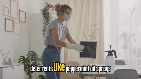 Before you squash that spider, watch this!