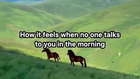 How it feels when no one talks to you in the morning.