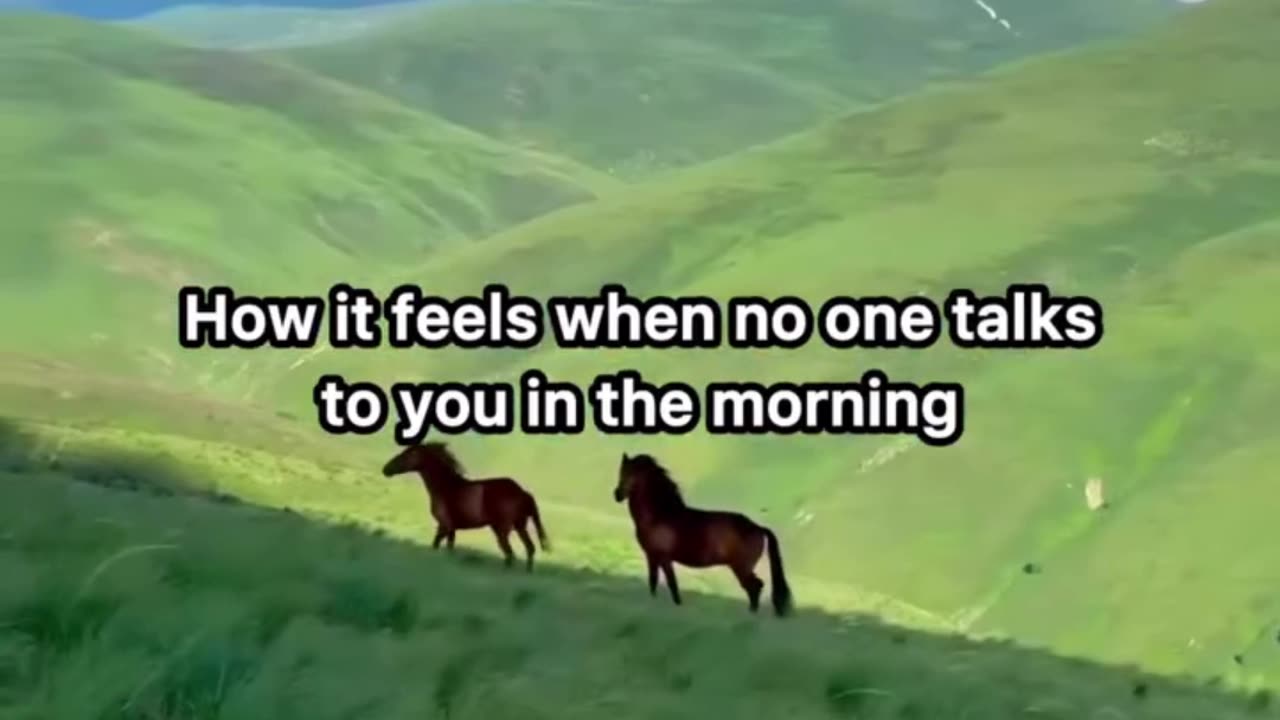 How it feels when no one talks to you in the morning.