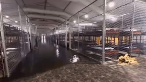 Florida’s “Gator Alcatraz” Illegal Immigrant Prison Floods — Reptiles Finally Get Their Meal