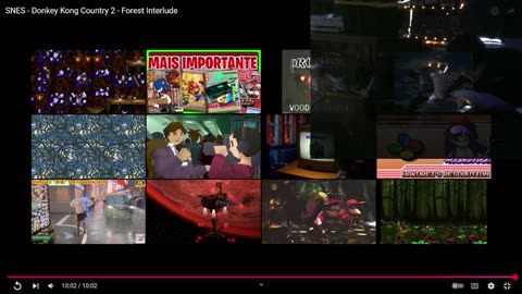 Vinny's Experience