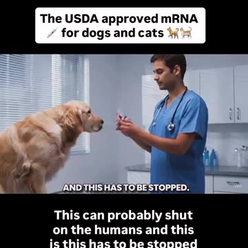 Self-amplifying mRNA has been approved by the USDA for cats and dogs—