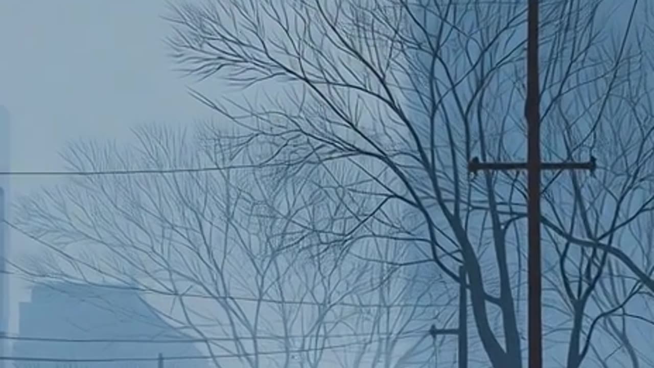 ❄️ BRONX SNOW & ICE SAFETY — PLEASE READ AND SHARE