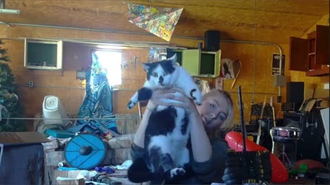 Chairy showing cats on cam. Momo & Joe Dirt