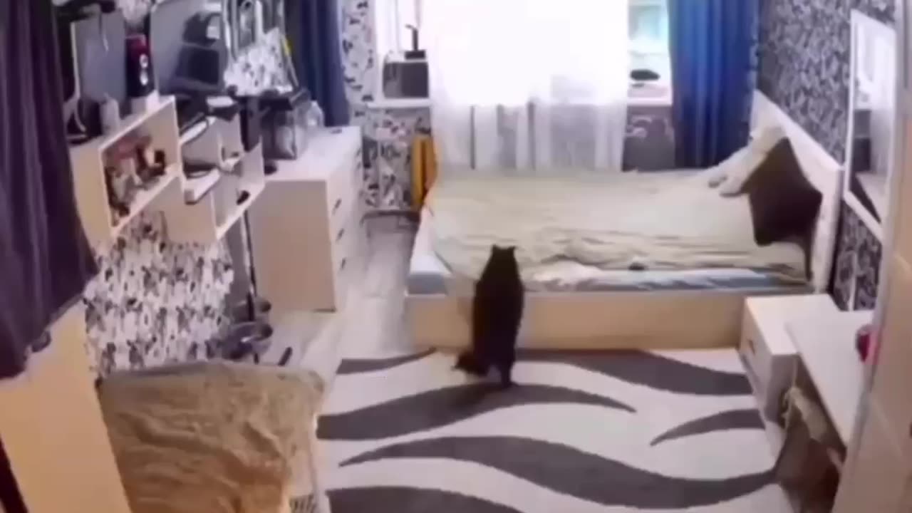 wonders of the world