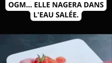 ★ Si votre nourriture est OGM, une chose étrange se passe...