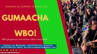 Gabaasa Gumaacha ONM-ABO Waxaabajjii 26-2025 itti dhiyaadhaa!