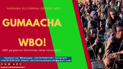 Gabaasa Gumaacha ONM-ABO Waxaabajjii 26-2025 itti dhiyaadhaa!