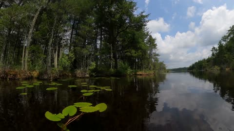 A quiet paddle
