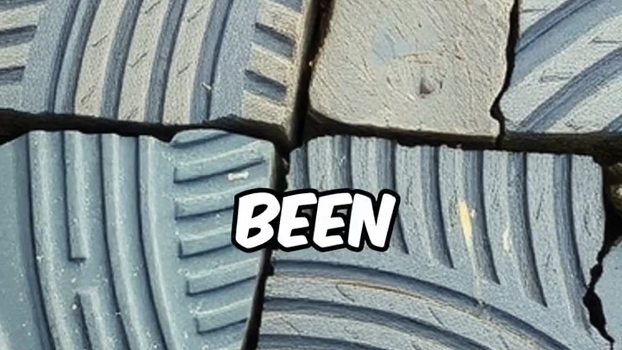 Fossilized Tracks Ancient Mysteries