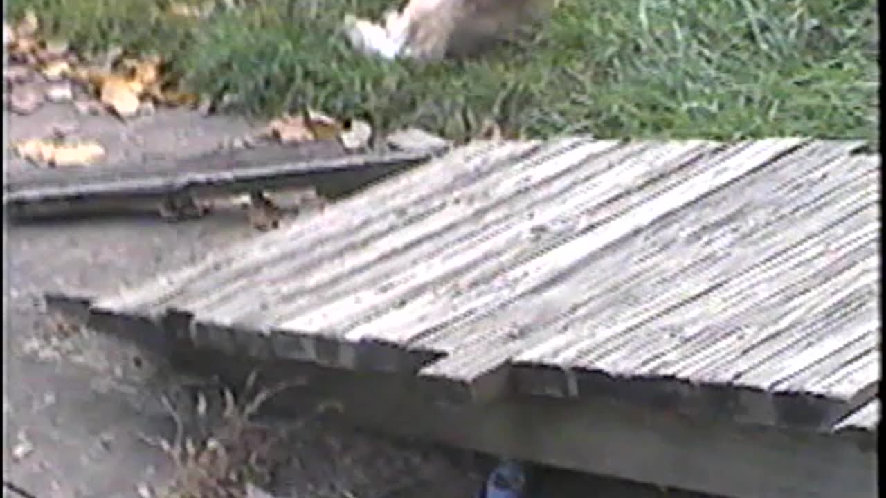 2001-VA-Sep-2