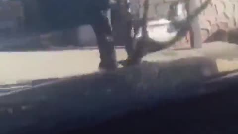 🤣🐴 Man TRIES SEOI NAGE on a DONKEY... WHOA! | FCN