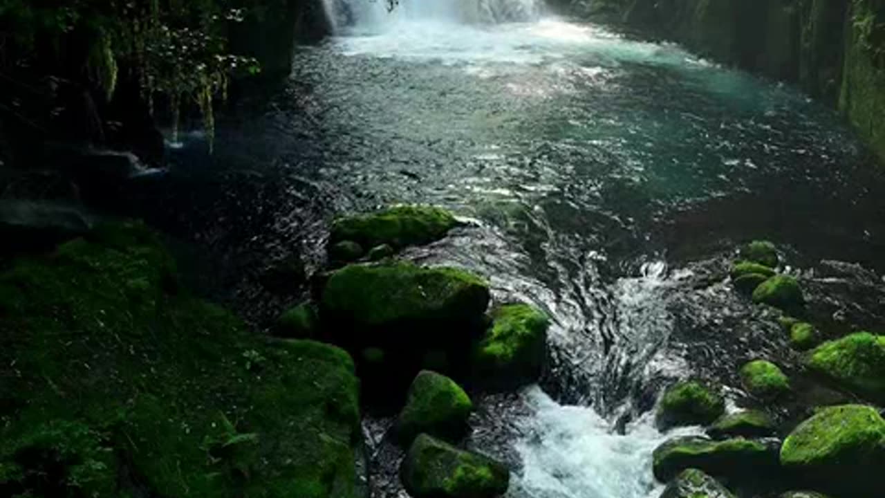 o numero 666 pt1.mp4