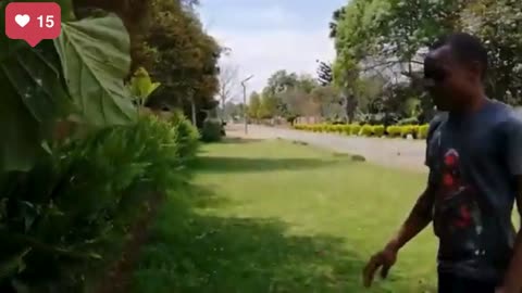 TRY NOT TO LAUGH 😆 Best Funny Videos Compilation 😂😁😆 Memes