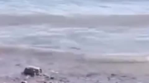 Attempt to Cross Finish Pane | Latest News & Full Story