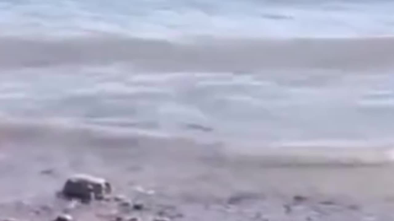 Attempt to Cross Finish Pane | Latest News & Full Story