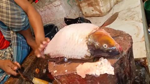 🔥 Satisfying Fish Cutting ASMR 🐟 | Fresh Fish Cleaning & Butchering | Oddly Satisfying Video