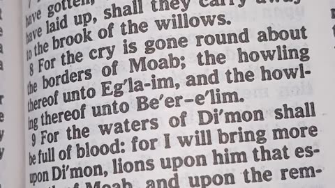 Tower of Babel: The first idol. Ebook version. King James only THE or A.