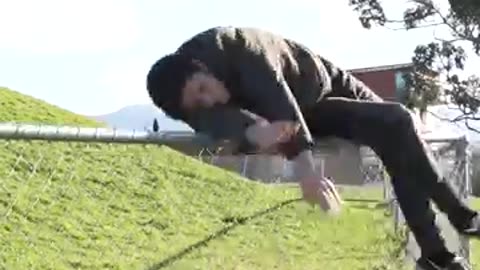 Animal jumps