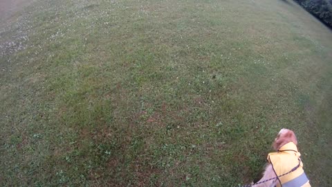 June 28th, 52º