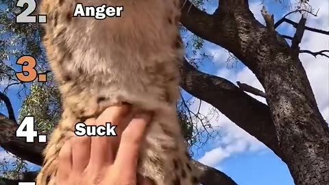 Ranking Best So This Can Kill Me Moments