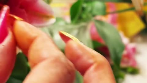 Roses&Lilies