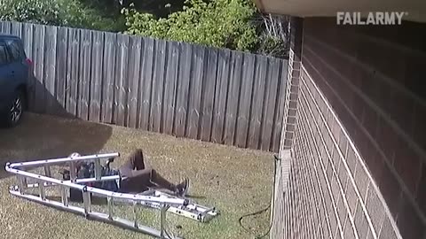 Dumbest Fails on the Planet Instant Regret