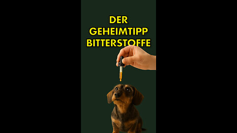 🐶Der Geheimtipp für Hundehalter: Bitterstoffe!