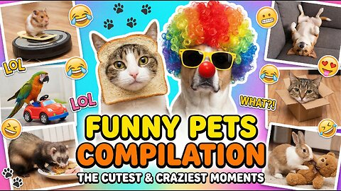 Funny Pets Compilation | The Cutest & Craziest Moments