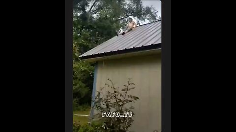 F around and Find Out Compilation. Enjoy!🤣🤣🤣😳