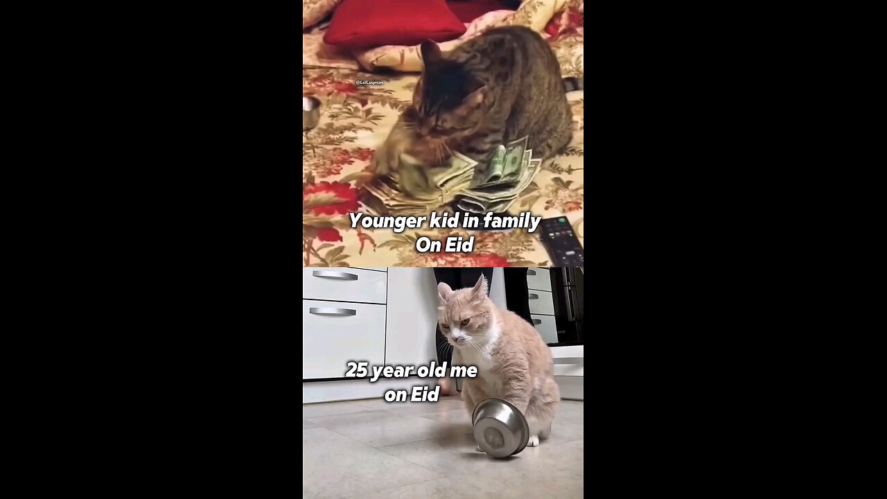 try not to laugh 😂