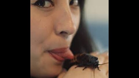 CHINESE READY FOR THE TARIFF EATING ROACHES/CHINOS LISTOS POR LOS ARANCELES CON CUCARACHAS