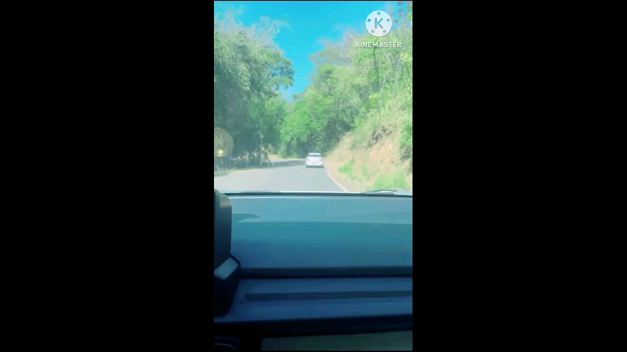 satisfying Video