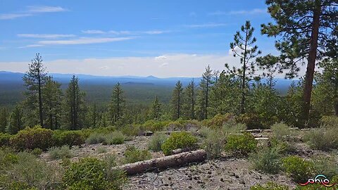 Hiking With PhLo 5