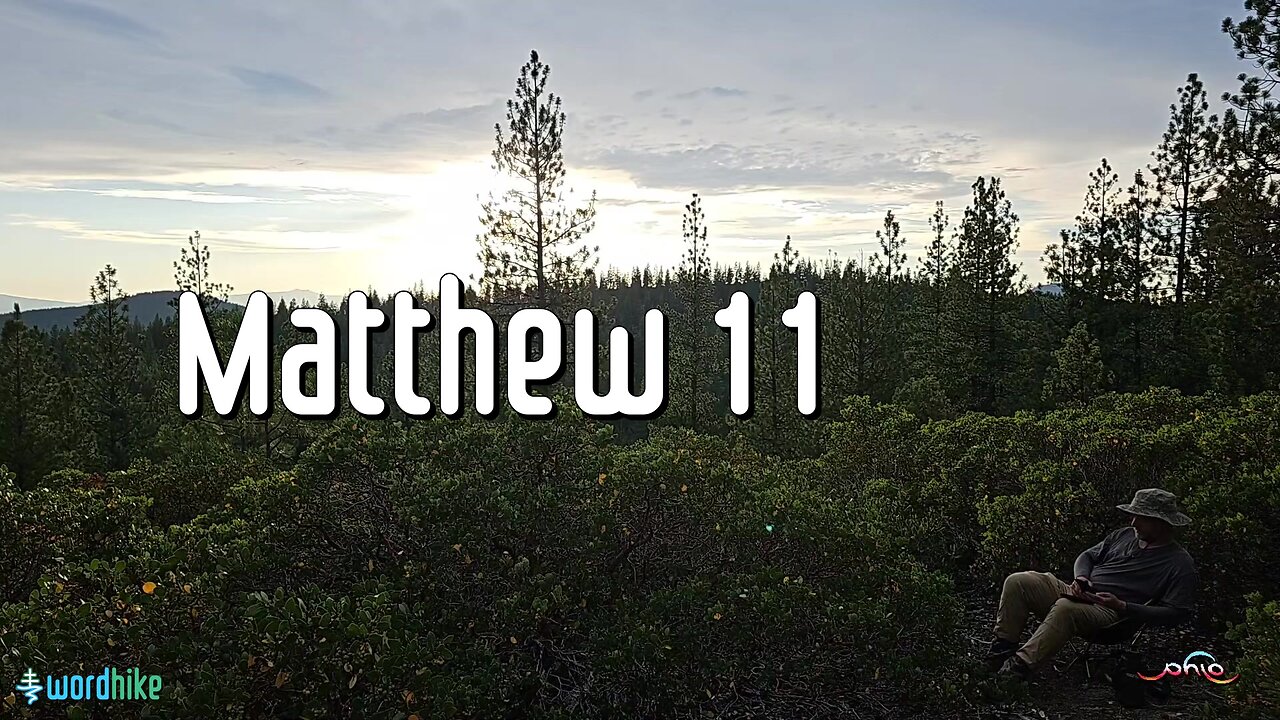 Matthew 11, Bible Reading in Nature, BSB