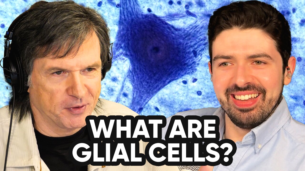 What Are Glial Cells?